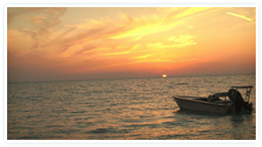 Boat At Sea In Sunset